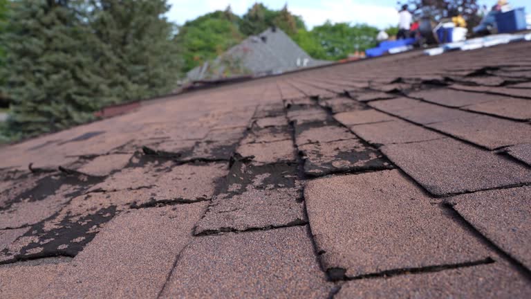 Best Cold Roofs  in Lake Of The Pines, CA
