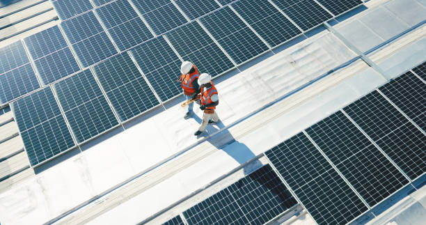 Best Roof Moss and Algae Removal  in Lake Of The Pines, CA