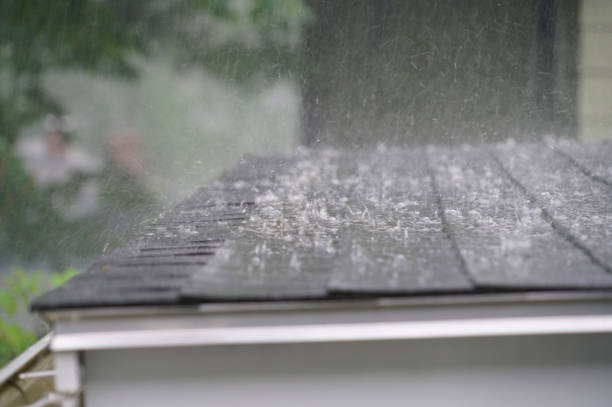 Best Roof Maintenance and Cleaning  in Lake Of The Pines, CA