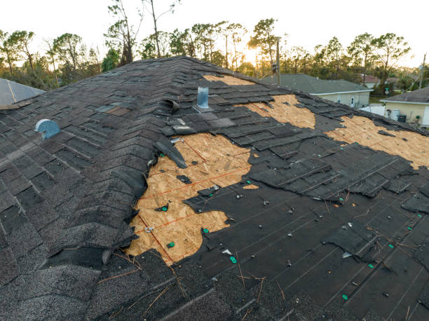 Best Roof Ventilation Installation  in Lake Of The Pines, CA