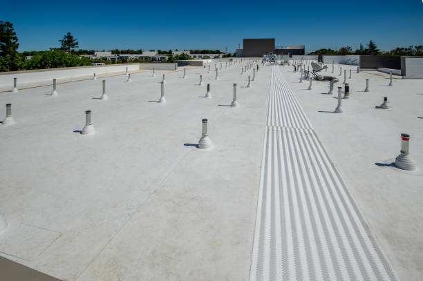 Best Roof Coating and Sealing  in Lake Of The Pines, CA
